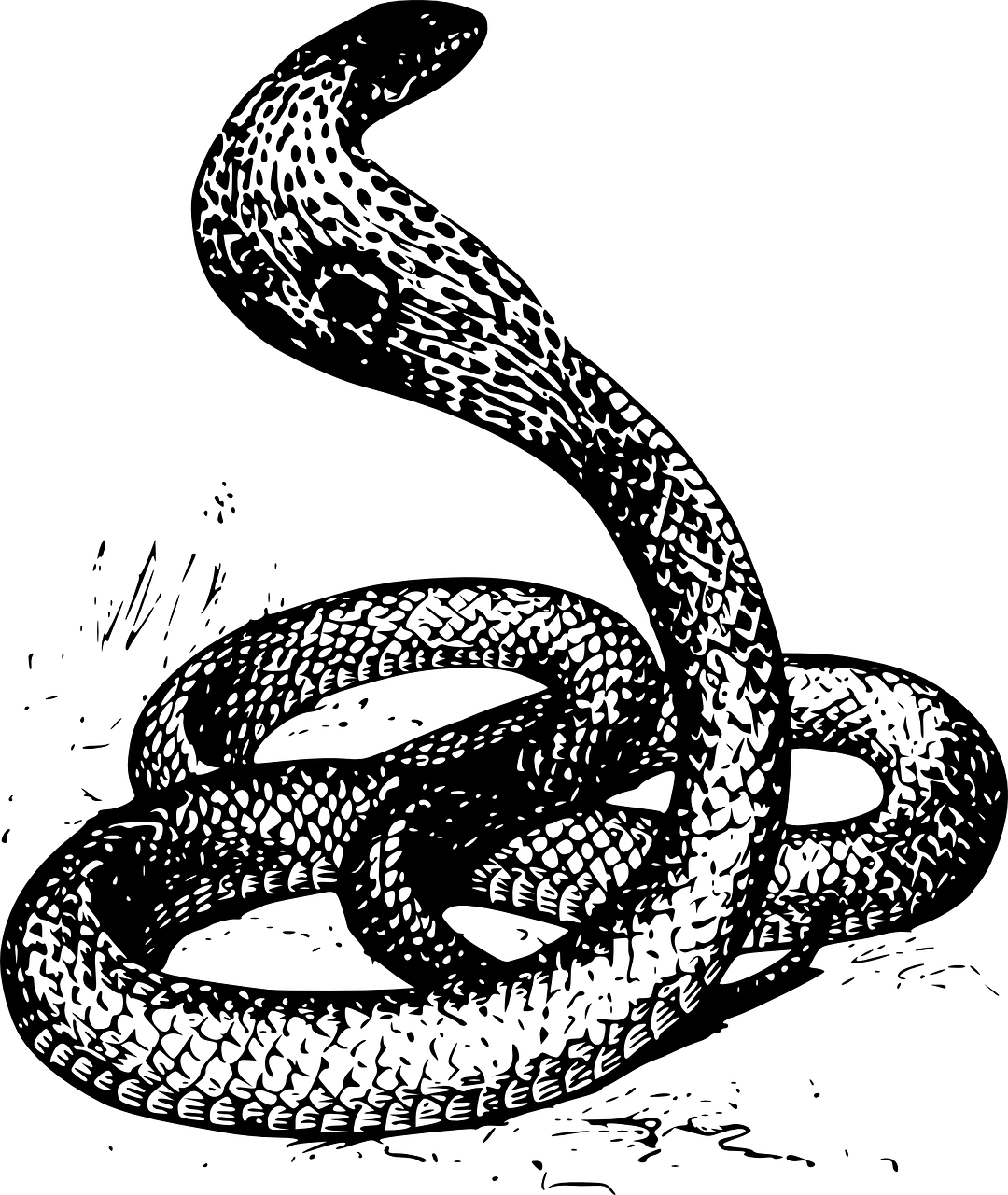 नागपंचमीची (शेतकऱ्याची) कहाणी