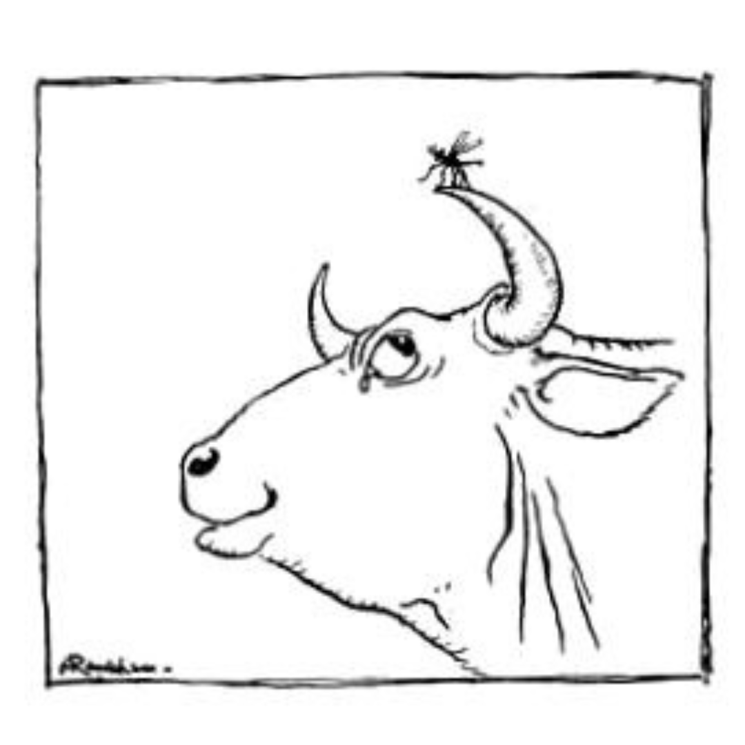 You are currently viewing बैल आणि डास